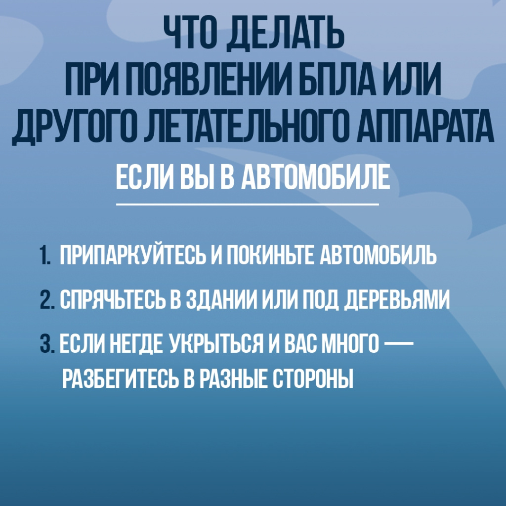43108.jpg